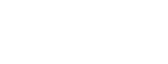 Logo Felyx